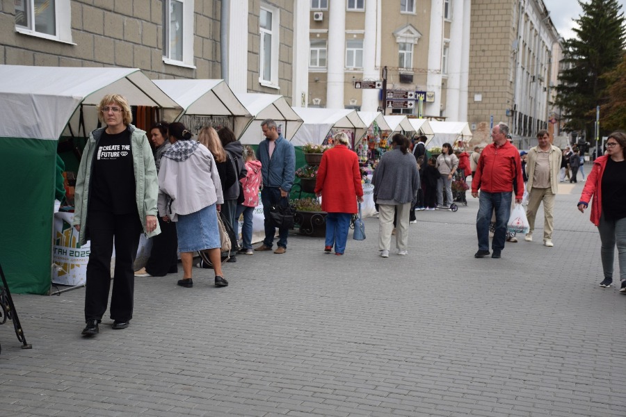 ���� ������ 2025